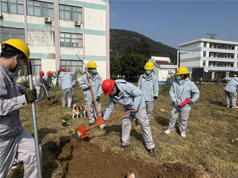 六台盒宝典资料大全