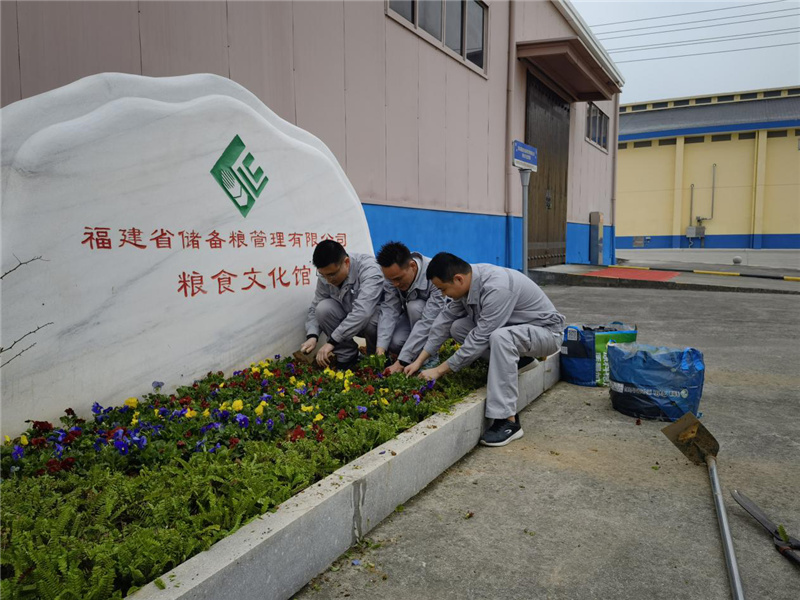 六台盒宝典资料大全