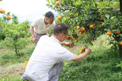 六台盒宝典资料大全