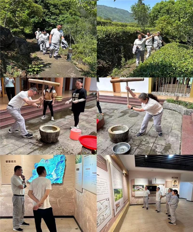 六台盒宝典资料大全