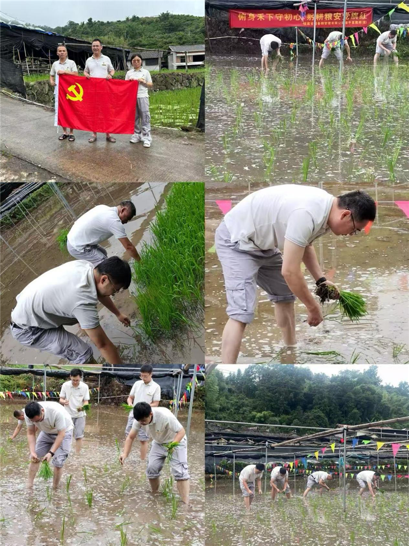 六台盒宝典资料大全
