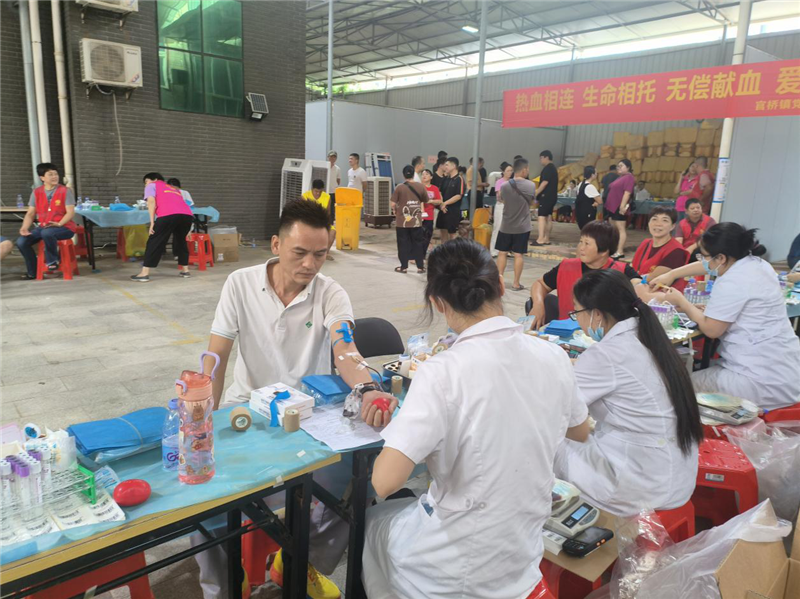 六台盒宝典资料大全