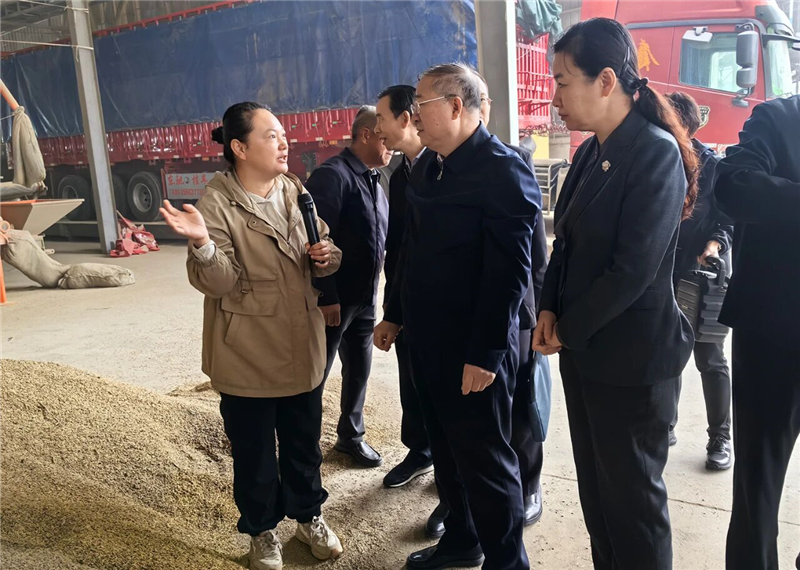 六台盒宝典资料大全