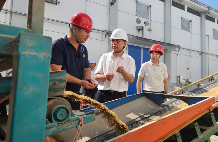 六台盒宝典资料大全