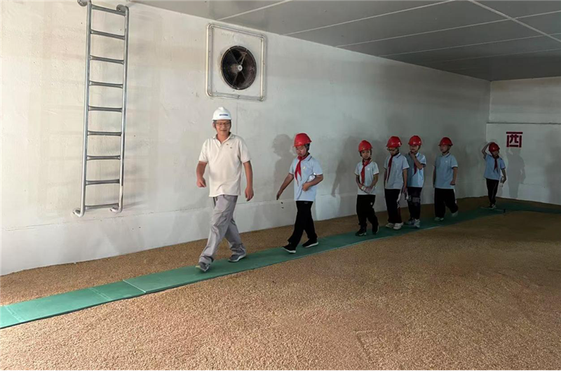 六台盒宝典资料大全